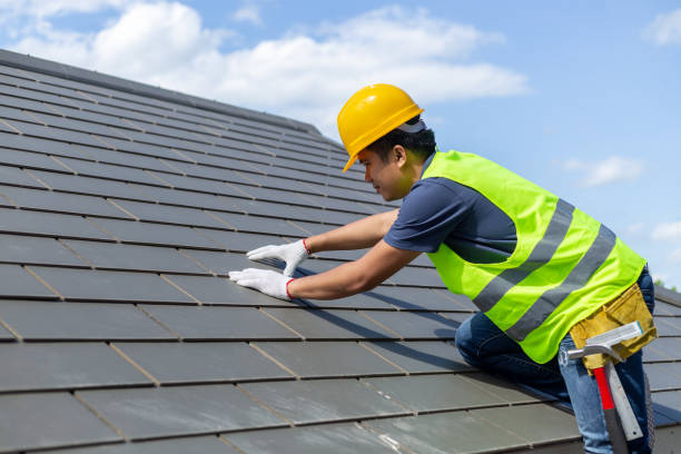Best Gutter Installation and Roofing  in Zebulon, GA