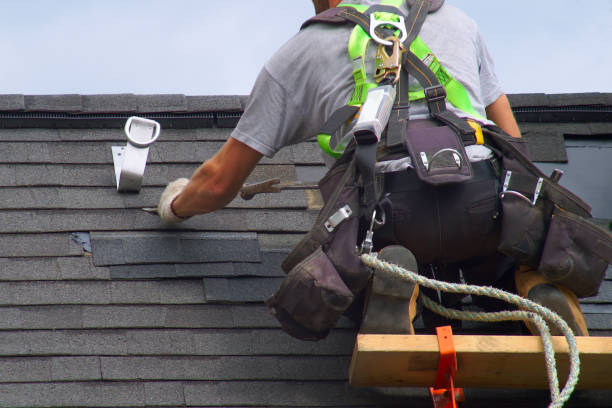 Best Roof Waterproofing Services  in Zebulon, GA