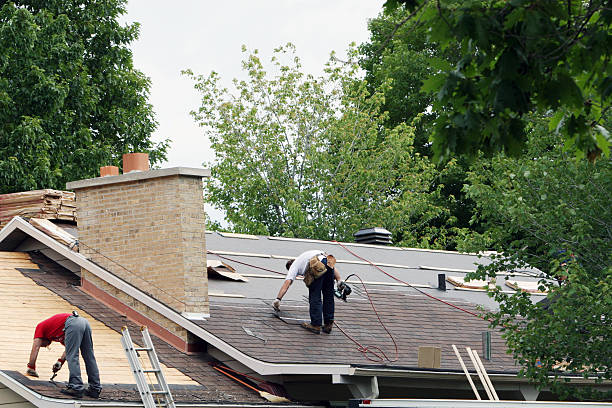 Professional Roofing Contractor in Zebulon, GA
