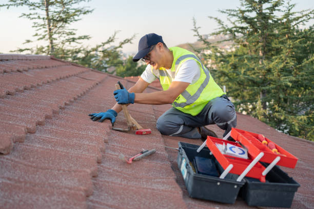 Best Roof Repair Services  in Zebulon, GA