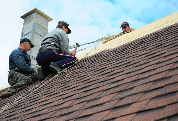 Best Roofing Contractor Near Me  in Zebulon, GA